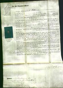 Court of Common Pleas - Anne Gregory-Original Ancestry