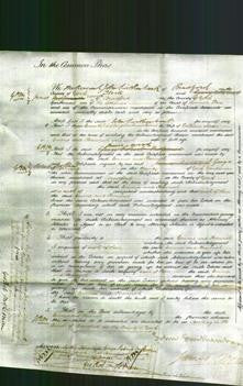 Court of Common Pleas - Emma Crowther-Original Ancestry