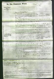 Court of Common Pleas - Mary Jane Hewer-Original Ancestry