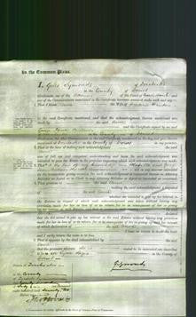 Court of Common Pleas - Anne Hinton