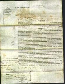 Court of Common Pleas - Ann Morris-Original Ancestry