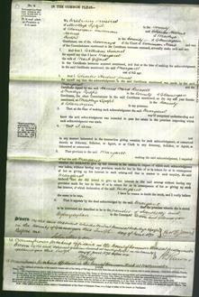 Court of Common Pleas - Margaret Gifford-Original Ancestry