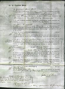 Court of Common Pleas - Ann Oliver-Original Ancestry