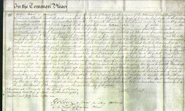 Court of Common Pleas - Elizabeth Marshall-Original Ancestry