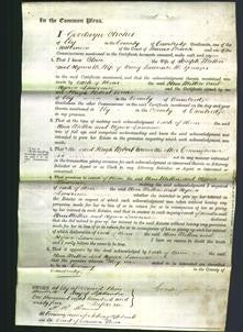 Court of Common Pleas - Ann Mitton and Agnes Lawrence-Original Ancestry