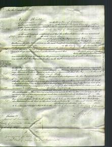 Court of Common Pleas - Sarah Clarke-Original Ancestry