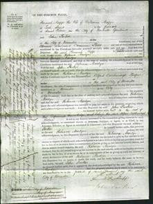 Court of Common Pleas - Rebecca Martyn-Original Ancestry