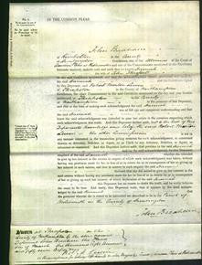 Court of Common Pleas - Hannah Throssell-Original Ancestry