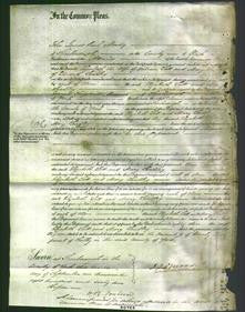 Court of Common Pleas - Elizabeth Lott and Mary Leadley-Original Ancestry