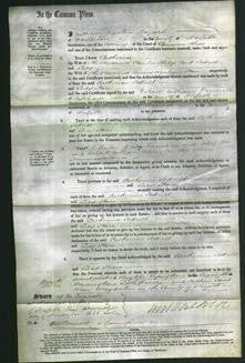 Court of Common Pleas - Catherine Sodrell, Lucy Hare-Original Ancestry