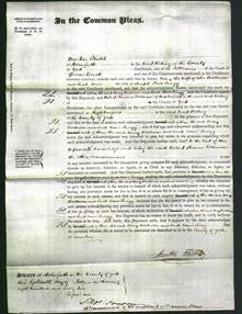 Court of Common Pleas - Mary Balderson and Sarah Anne Twigg-Original Ancestry