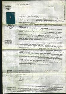 Court of Common Pleas - Catherine Tobitt and Esther Igguldon-Original Ancestry