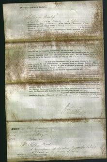 Court of Common Pleas - Mary Payne-Original Ancestry