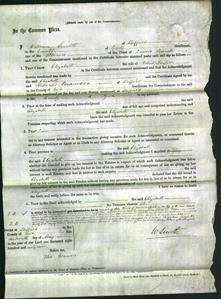 Court of Common Pleas - Elizabeth Naylor-Original Ancestry