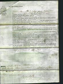 Court of Common Pleas - Anne Leonard-Original Ancestry