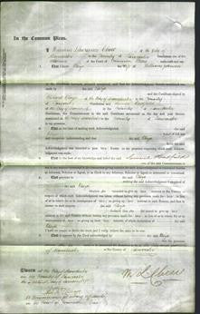 Court of Common Pleas - Eliza Johnson-Original Ancestry