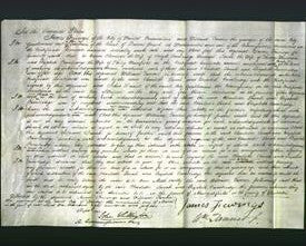 Court of Common Pleas - Charlotte Newman, Sarah Newman, Elizabeth Cambridge Manfield-Original Ancestry