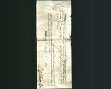 Court of Common Pleas - Elizabeth Susannah Phillips-Original Ancestry