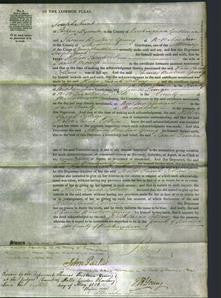 Court of Common Pleas - Helen Sarah Collins Mossop-Original Ancestry