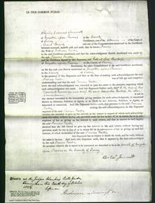 Court of Common Pleas - Frances Walter-Original Ancestry