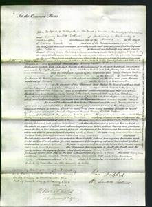 Court of Common Pleas - Mary Ann Matthews, Sarah Fulford, Betty Bundy, Susannah Webb and Ann Beachem-Original Ancestry