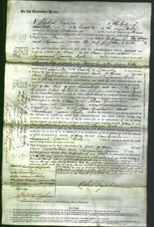 Court of Common Pleas - Ann Girdlestone