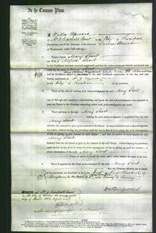Court of Common Pleas - Mary Short-Original Ancestry