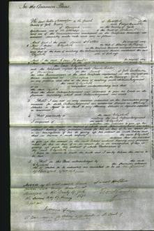 Court of Common Pleas - Elizabeth Newport-Original Ancestry