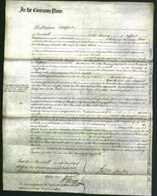 Court of Common Pleas - Sarah Boon-Original Ancestry