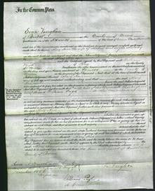 Court of Common Pleas - Mary Ann Malarby-Original Ancestry