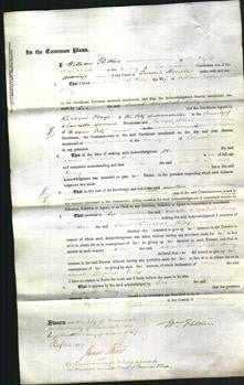 Court of Common Pleas - Sarah Elizabeth Riley-Original Ancestry