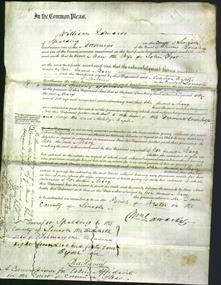 Court of Common Pleas - Mary Foot-Original Ancestry