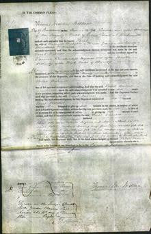 Court of Common Pleas - Sarah Orchard-Original Ancestry