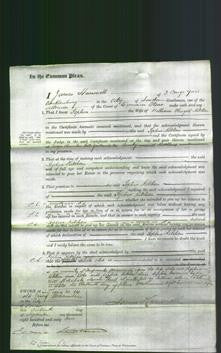 Court of Common Pleas - Sophia Kitchen-Original Ancestry