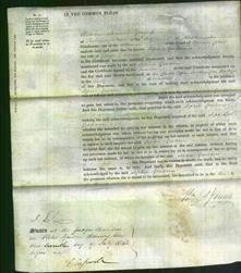 Court of Common Pleas - Sophia Graham-Original Ancestry