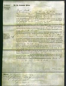 Court of Common Pleas - Elizabeth Lovegrove-Original Ancestry