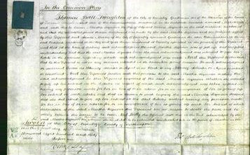 Court of Common Pleas - Martha Seymour-Original Ancestry