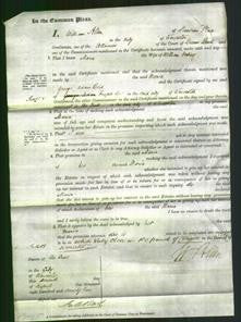 Court of Common Pleas - Maria Ockley-Original Ancestry