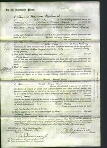 Court of Common Pleas - Mary Ann Maleski-Original Ancestry