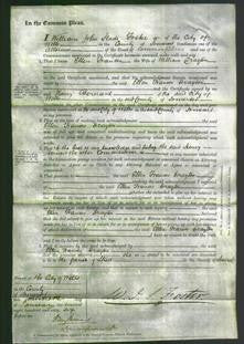 Court of Common Pleas - Ellen Frances Drayton-Original Ancestry