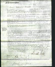 Court of Common Pleas - Mercy Rymer-Original Ancestry