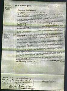 Court of Common Pleas - Harriett Buck-Original Ancestry