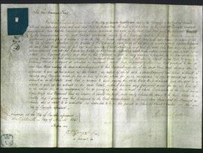 Court of Common Pleas - Ann Moss-Original Ancestry