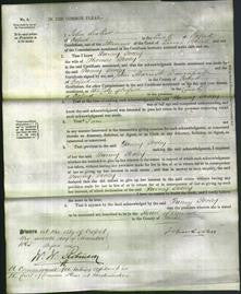 Court of Common Pleas - Fanny Pooley-Original Ancestry