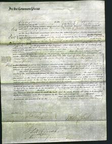 Court of Common Pleas - Frances Meakin-Original Ancestry