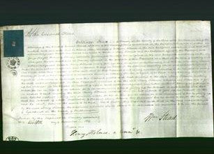Court of Common Pleas - Mary Sillence-Original Ancestry