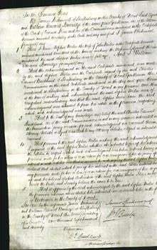 Court of Common Pleas - Sophia Miles-Original Ancestry