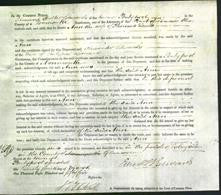 Court of Common Pleas - Ann Lewis-Original Ancestry
