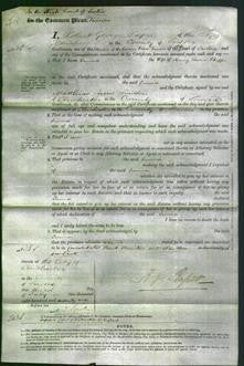 Court of Common Pleas - Emma Phipps-Original Ancestry