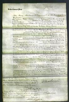 Court of Common Pleas - Elizabeth Spencer-Original Ancestry